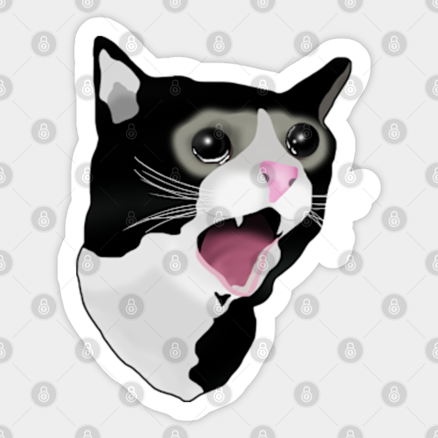 Crying Cat Meme Crying Cat Meme Pegatina Teepublic Mx 5873